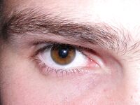 Surok - 19nitten, 19zone - Twinks