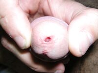 Surok - 19nitten, 19zone - Twinks