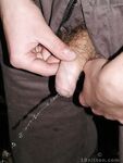Terence 1 - 19nitten, 19zone - Latino