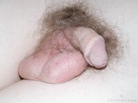 Terry 1 - 19nitten, 19zone - Cumshot