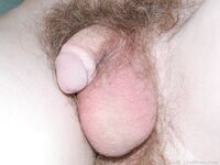 Terry 2 - 19nitten, 19zone - Latino