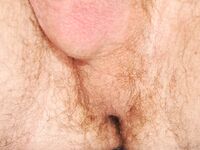 Tyoma - 19nitten, 19zone - Latino