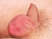 Venia - 19nitten, 19zone - Latino