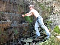 Vitold - 19nitten, 19zone - Latino