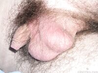 Wario - 19nitten, 19zone - 19zone