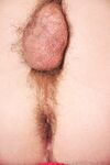 William 2 - 19nitten, 19zone - Latino