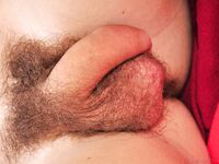 William 2 - 19nitten, 19zone - Latino