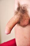 William 2 - 19nitten, 19zone - Latino