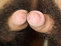 Zach - 19nitten, 19zone - Twinks