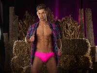 Aiden Kay Pink - DiamondPicturesMen - Muscle