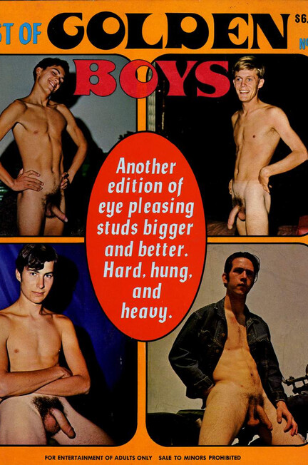 BEST OF GOLDEN BOYS Nr 2 Photos