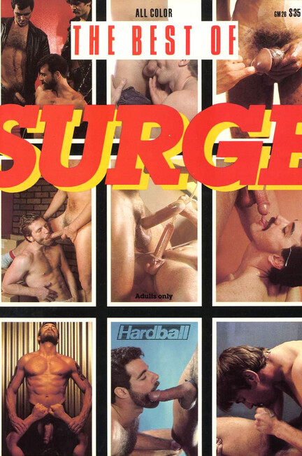 BEST OF SURGE, THE 1985 Photos