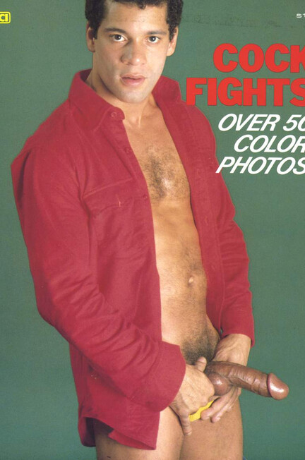COCK FIGHTS Photos